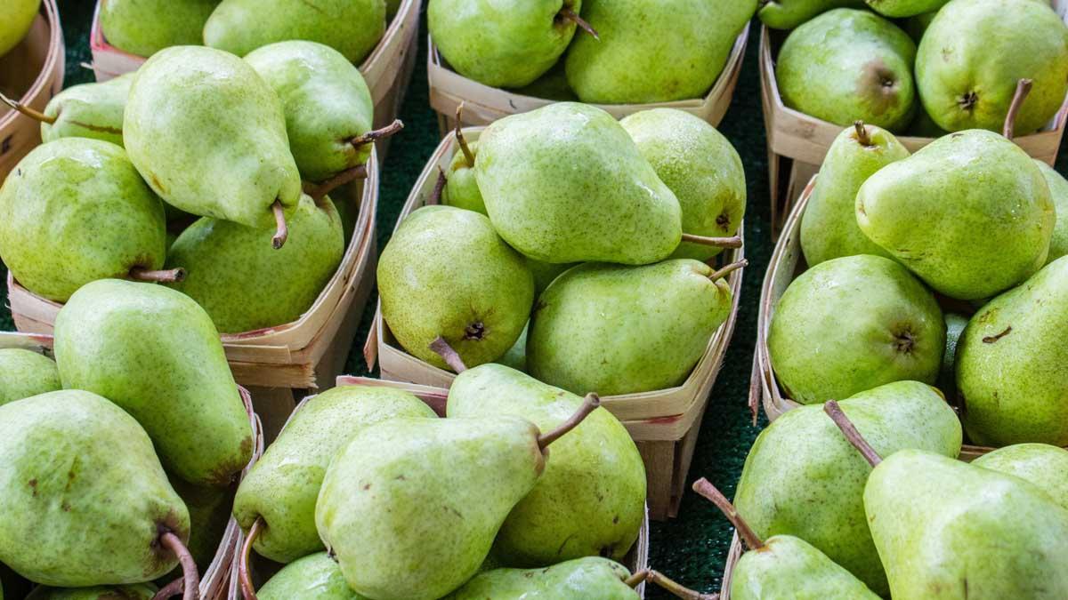 Lot of pears in crates