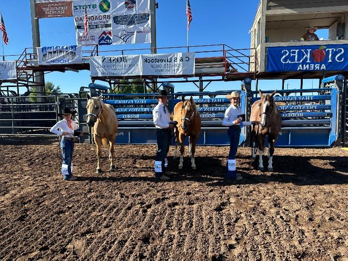 3 kids with their horses