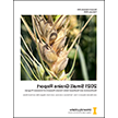 2021 Small Grains Report: Southcentral and Southeast Idaho 谷物 Research & Extension Program