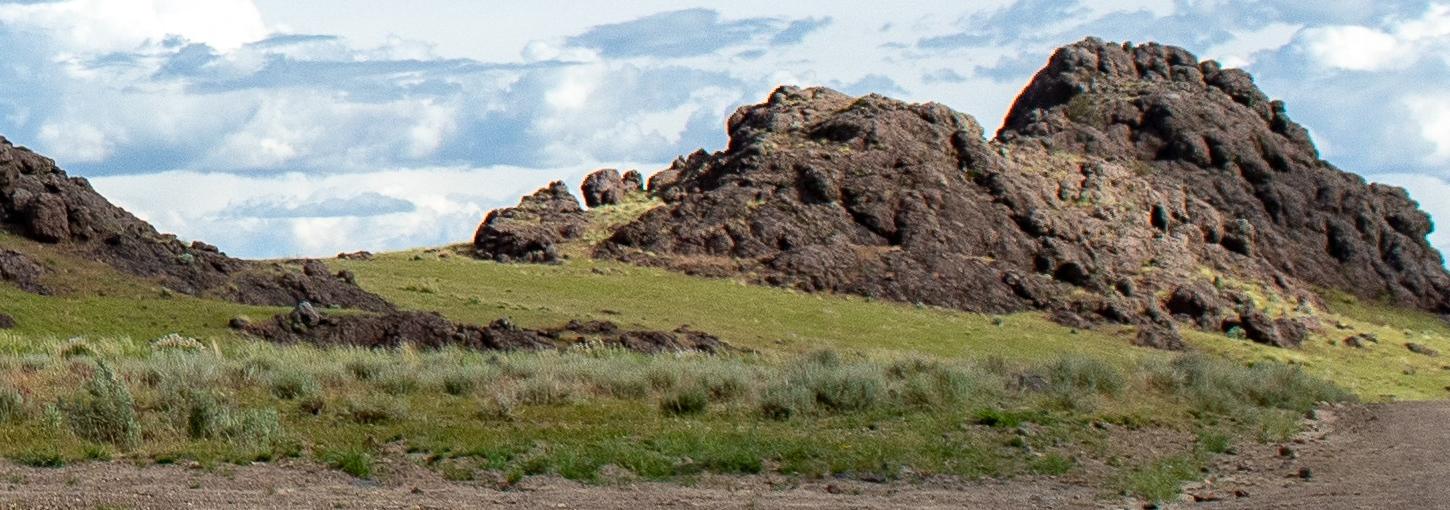 Owyhee rangeland-green